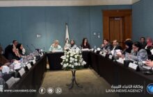 أعضاء مجلس النواب يشاركون في اجتماعات اللجان الدائمة بالبرلمان العربي
