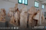 متحف شحات يستقبل وفداً بريطانياً ويبحث استعادة آثار مهربة
