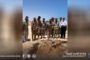  اكتشاف موقع أثري غرب بن جواد