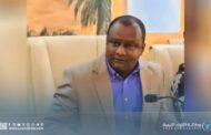 رئيس لجنة مكافحة الجراد يحذر من توسع انتشاره في غات
