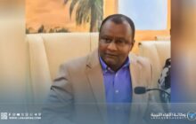 رئيس لجنة مكافحة الجراد يحذر من توسع انتشاره في غات