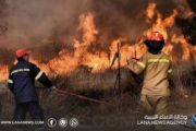حرائق الغابات تتمدد في الجزائر وتخلف ضحايا وأضرارًا واسعة