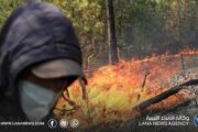 إجلاء احترازي في بلدية سرايدي الجزائرية مع تمدد حرائق الغابات