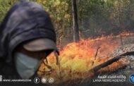 إجلاء احترازي في بلدية سرايدي الجزائرية مع تمدد حرائق الغابات