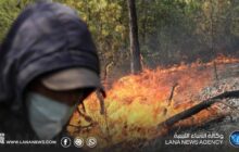 إجلاء احترازي في بلدية سرايدي الجزائرية مع تمدد حرائق الغابات