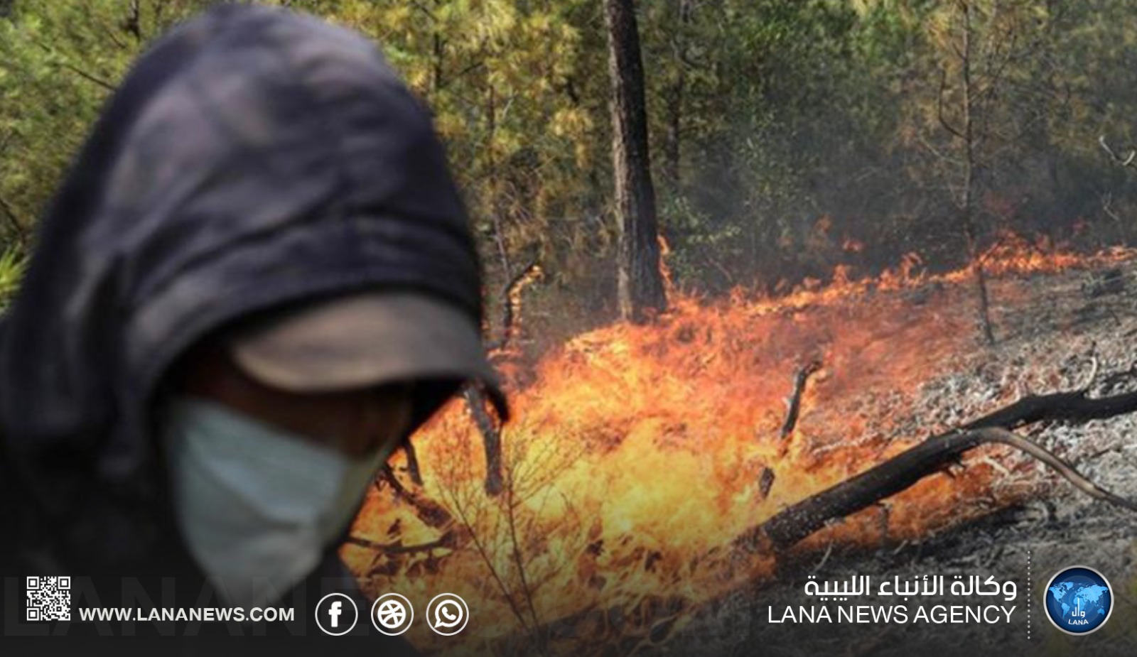 إجلاء احترازي في بلدية سرايدي الجزائرية مع تمدد حرائق الغابات