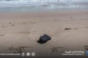 فقدان 144 مهاجرا قبالة سواحل موريتانيا