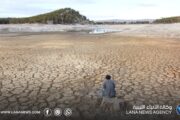بنك التنمية الأفريقي: النينيو تهدد أفريقيا بخسائر تصل إلى 20 مليار دولار