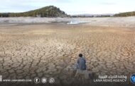بنك التنمية الأفريقي: النينيو تهدد أفريقيا بخسائر تصل إلى 20 مليار دولار