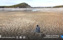 بنك التنمية الأفريقي: النينيو تهدد أفريقيا بخسائر تصل إلى 20 مليار دولار