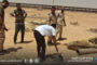 نفوق عشرات الأبقار يكشف بؤرة جديدة للحمى القلاعية في سلوق