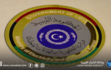 إدخال وحدة احتياطية للخدمة لدعم استقرار الشبكة الكهربائية