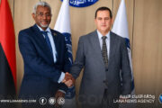 وزيرا الشؤون الأفريقية والخارجية يبحثان تعزيز التعاون والتنسيق المشترك