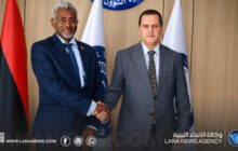 وزيرا الشؤون الأفريقية والخارجية يبحثان تعزيز التعاون والتنسيق المشترك