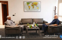 الشؤون الأفريقية والحكم المحلي تبحثان تطوير الخدمات وتعزيز دور البلديات