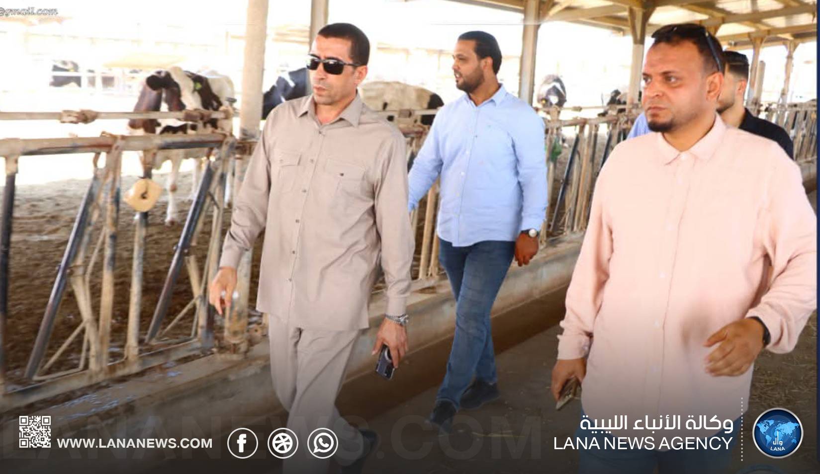 متابعة سير العمل بمحطة القرضابية لتربية الأبقار بسرت