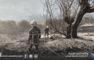 الجزائر تسجل عشرات الحرائق وتواصل جهود الإخماد والمراقبة