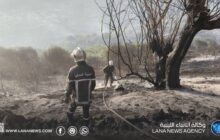 الجزائر تسجل عشرات الحرائق وتواصل جهود الإخماد والمراقبة