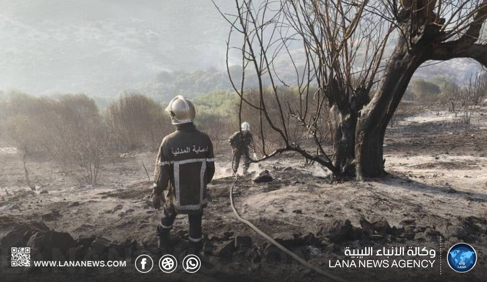 الجزائر تسجل عشرات الحرائق وتواصل جهود الإخماد والمراقبة
