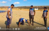 فرق بيئية ترصد تعشيش السلاحف البحرية بشواطئ الجبل الأخضر
