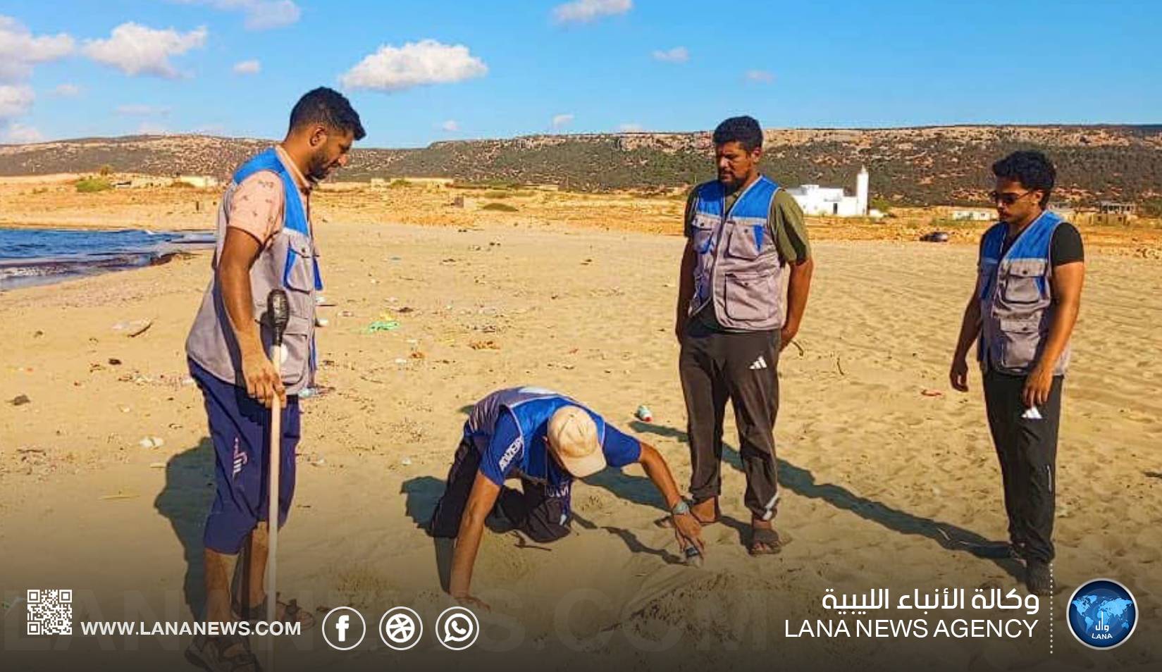 فرق بيئية ترصد تعشيش السلاحف البحرية بشواطئ الجبل الأخضر