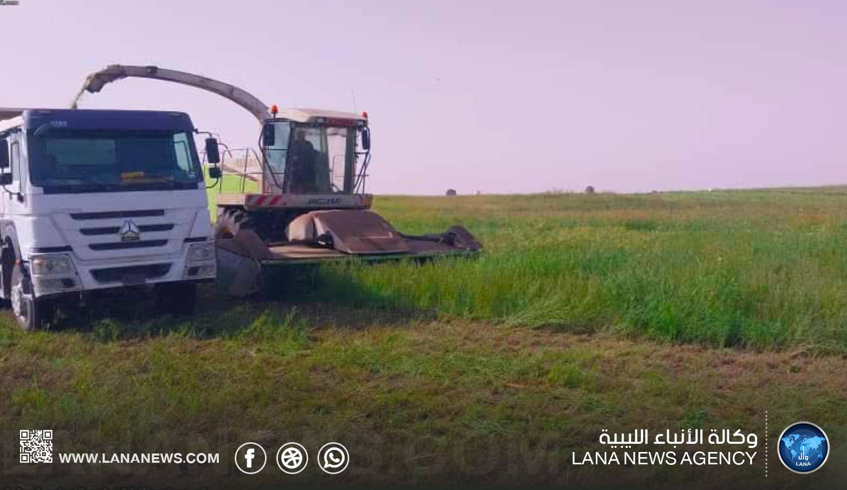انطلاق الحصاد والتسميد بمشروع المزارع الكبيرة بالمنطقة الوسطى
