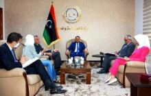 تفعيل الشراكة الصناعية بين دولتي ليبيا وأيطاليا