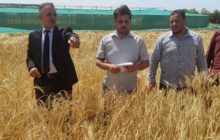 وال| زيارة وزير الزراعة لموقع التجارب العربية بمشروع مشتل القرضابية