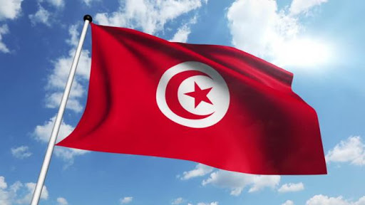 تونس تفتح غدا باب الطعون على استفتاء الدستور لمدة 3 أيام