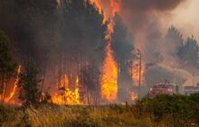 السلطات الإسبانية تجلي مئات الأشخاص بسبب إندلاع حريق غابات كبير شرق البلاد