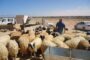 وزارة الخارجية تُدين الهجوم على مدرسة أوغندية
