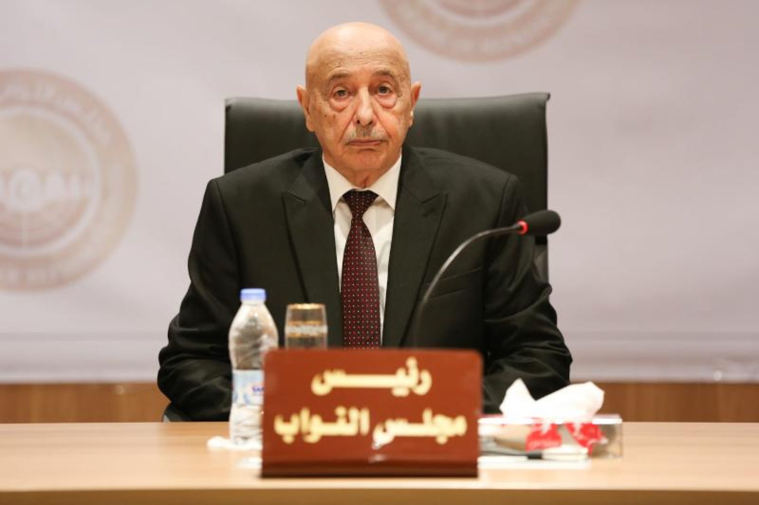 رئيس مجلس النواب يثمن المجهودات والأعمال التي تقوم بها اللجنة العُليا واللجان الفرعية للطوارئ بسبب الظروف الجوية الطارئة