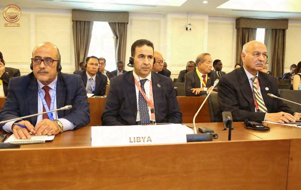 النويري يُشارك في اجتماع الشبكة البرلمانيّة للدول الأعضاء في حركة عدم الانحياز