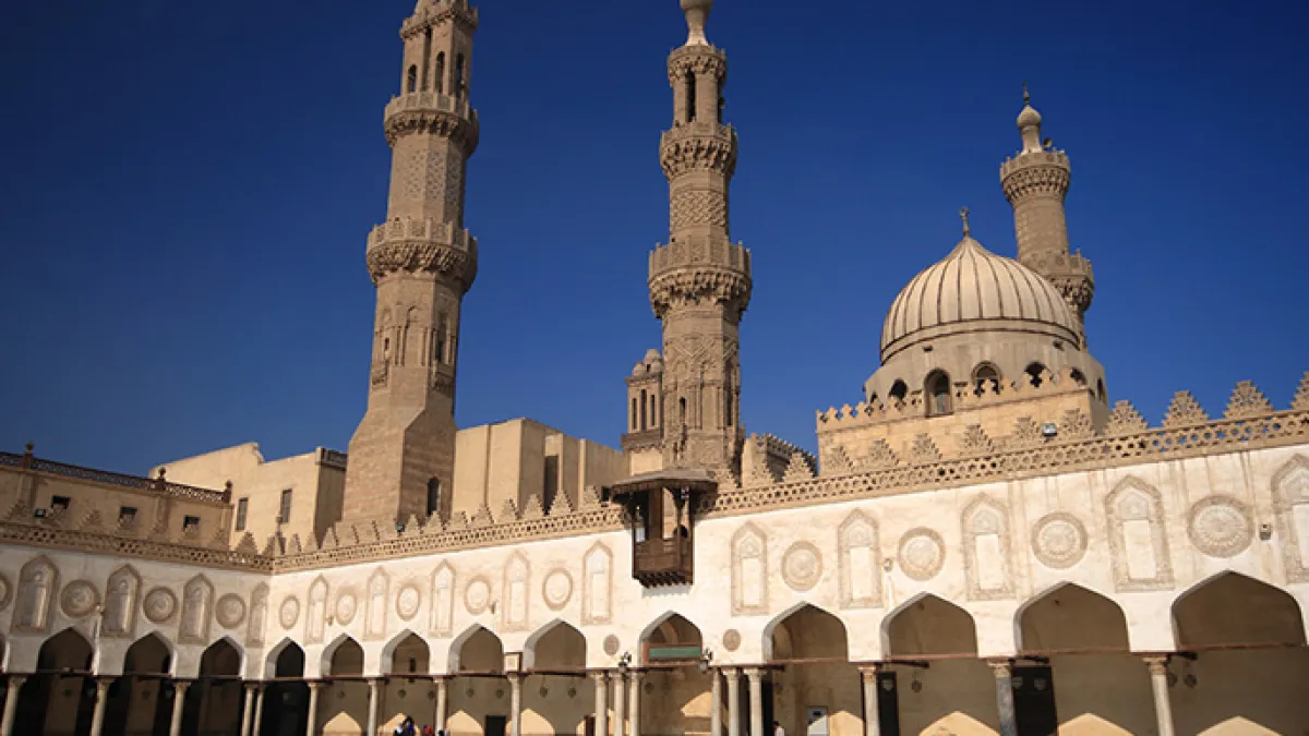الأزهر يناشد الدول العربية والإسلامية تسخير ثرواتها ‏لنصرة الفلسطينيين 