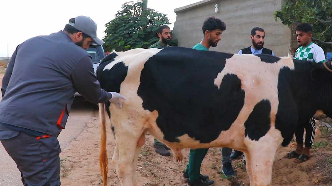 البحوث الزراعية يحذر من تفشي 