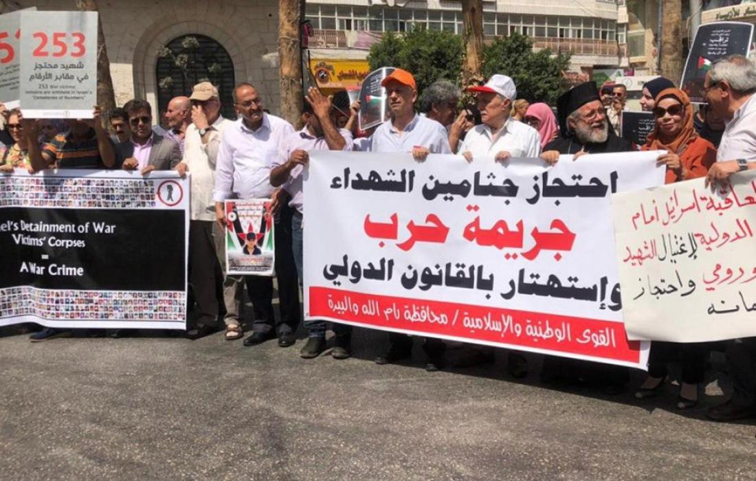 تقرير| 