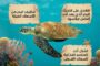 وفد رفيع المستوى يزور الكليات العلمية ببلدية المرج