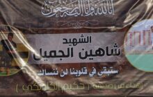أعضاء مجلس النواب ولاعبين قدامى يحضرون مباراة خيرية تأبيناً للاعب الراحل شاهين الجميل