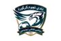 طائرة الأهلي بنغازي والسويحلي يمثلان ليبيا في البطولة العربية