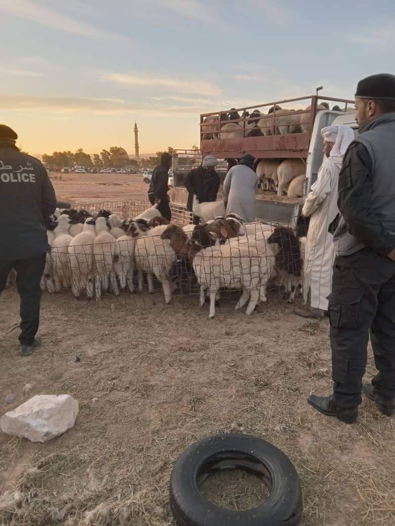 الشرطة الزراعية تغلق سوق الأغنام بترهونة