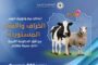 إجراءات عاجلة من وزارة الصحة استجابة لاشتباكات مدينة الزاوية