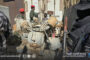 حملة ناجحة لمكافحة الجراد الصحراوي في جنوب ليبيا