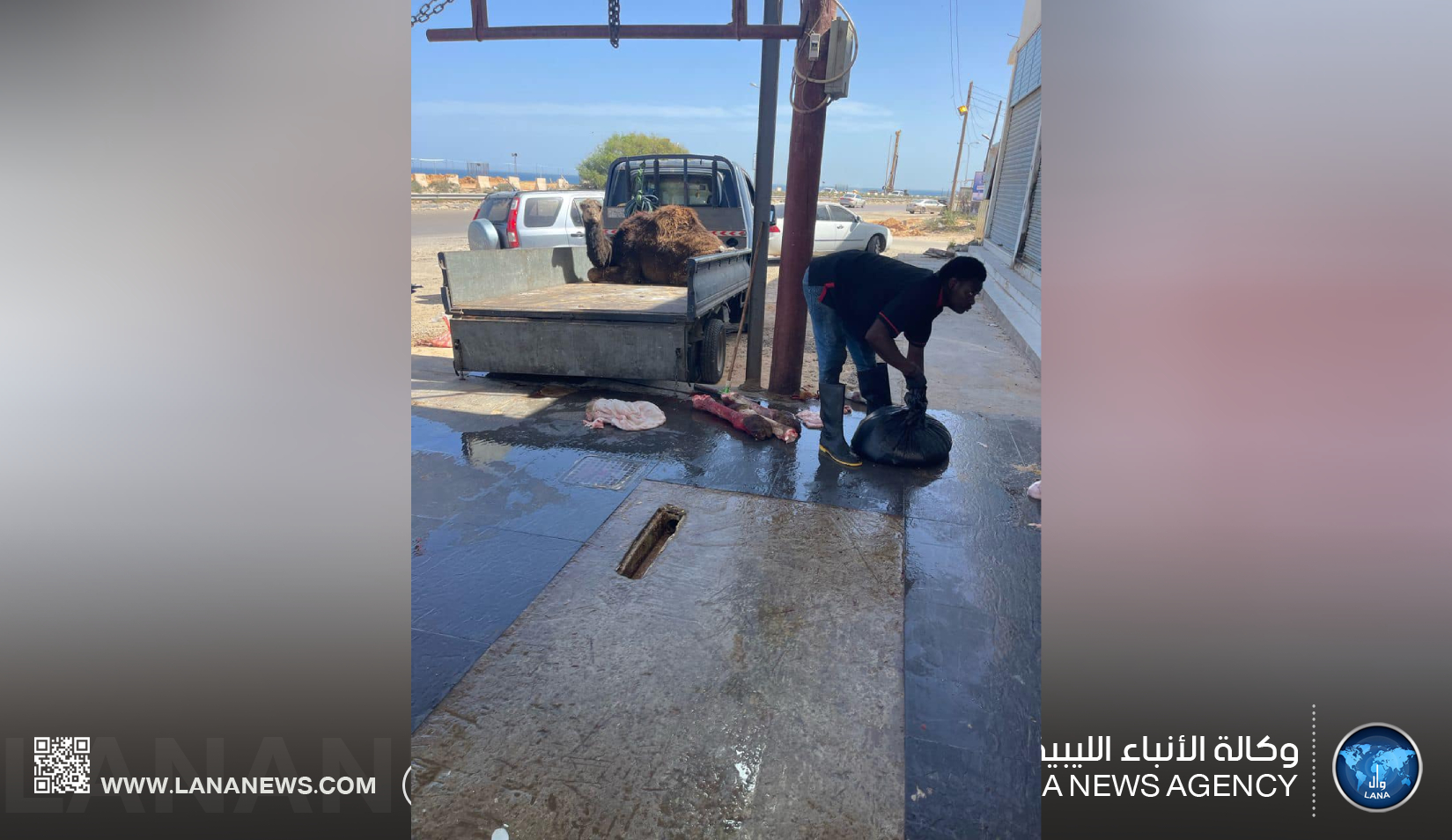 جولات تفتيشية لمكاتب الرقابة على الأغذية والأدوية في تاجوراء وغات وجنزور