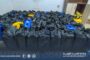 غزو الجراد الصحراوي يهدد المحاصيل الزراعية في جنوب البلاد