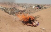 ضبط وإعدام لحوم فاسدة في مدينة الكفرة