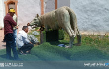 انطلاق أعمال ترميم تمثال 