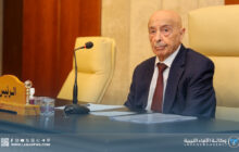 رئيس مجلس النواب يرحب بحكم المحكمة العليا بشأن رئاسة الأعلى للدولة