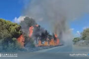 السيطرة على حريق الوسيطة في الجبل الأخضر وسط تحذيرات من تكرار الكارثة