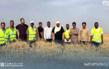 مدير الجهاز الوطني للتنمية يتابع المشروعات الزراعية بمناطق جنوب غرب ليبيا