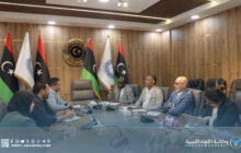 شراكة بحثية جديدة بين مركز دراسات الهجرة ومركز الدراسات الإفريقية